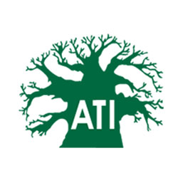 Artisan Training Institute